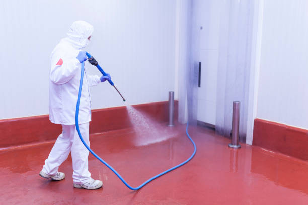 Best Pool Deck Cleaning  in Leisuretowne, NJ